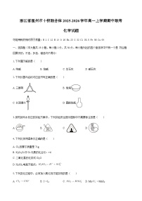 浙江省温州市十校联合体2025-2026学年高一上学期期中联考化学试题（含答案）含答案解析