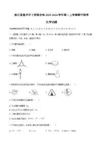 浙江省温州市十校联合体2025-2026学年高一上学期期中联考化学试题（含答案）含答案解析