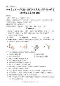 浙江省丽水发展共同体2025-2026学年高二上学期11月期中联考化学试题含答案含答案解析