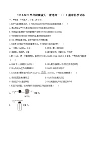 2025-2026学年河南省天一联考高一（上）期中化学试卷-自定义类型