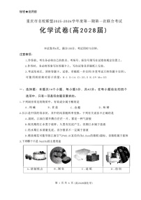 重庆市名校联盟2025-2026学年高一上学期11月期中考试化学试卷