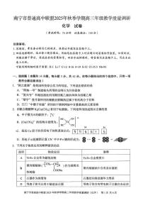 2026届南宁高中联盟高三上学期11月调研化学试卷（含答案）