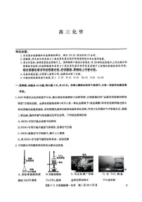 河南九师联盟2026届高三上学期11月质检化学试题（含答案）