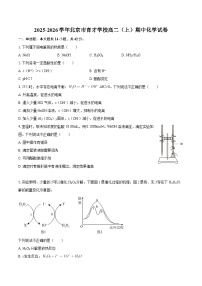 2025-2026学年北京市育才学校高二（上）期中化学试卷-自定义类型