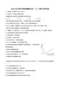 2025-2026学年甘肃省陇南市高一（上）期中化学试卷-自定义类型