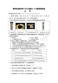 广东省惠州市实验中学2026届高三上学期12月阶段性检测化学试题（含答案）