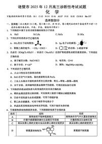 浙江省诸暨市2026届高三12月诊断性考试 化学试题+答案