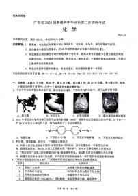 广东省光大联考2026届高三上学期12月第二次调研考试化学试卷（PDF版附解析）