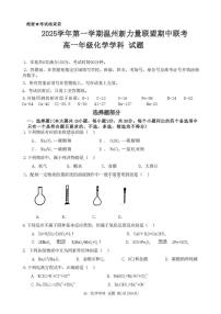浙江省温州市新力量联盟2025-2026学年高一上学期11月期中化学试题（含答案）