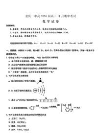 重庆市第一中学校2025-2026学年高三上学期11月月考化学试卷+答案