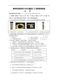 化学-广东省惠州市实验中学2025-2026学年高三上学期12月阶段性检测