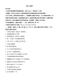 河南省九师联盟2026届高三上学期11月期中化学试题（Word版附解析）