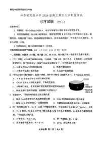 山东省实验中学2025-2026学年高三三诊（12月）化学试卷（含答案）