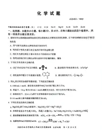 2025-2026学年湖北十一校高三上学期12月化学试题及答案