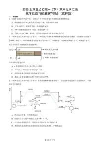 2025北京重点校高一（下）期末化学汇编：化学反应与能量章节综合（选择题）