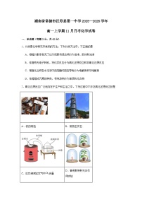 湖南省常德市汉寿县第一中学2025-2026学年高一上学期11月月考 化学试题（含答案）含答案解析
