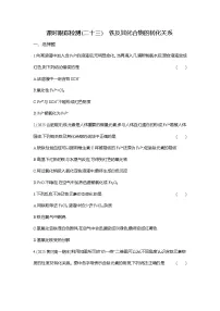 化学必修 第一册铁及其化合物课时作业