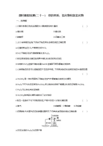 人教版 (2019)必修 第一册铁及其化合物课时练习