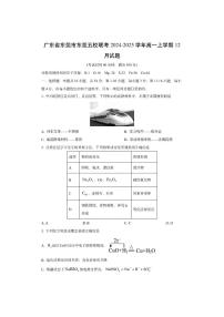 广东省东莞市东莞五校联考2024-2025学年高一上学期12月 (2)化学试卷（学生版）