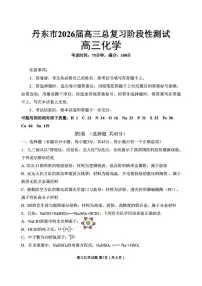 辽宁省丹东市2026届高三上学期10月总复习阶段测试化学试题（含答案）