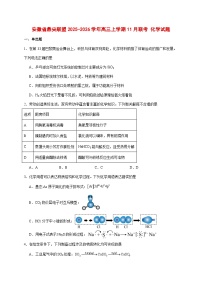 2025_2026学年安徽省鼎尖名校高三上册11月联考化学试题【附答案】