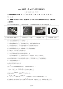 2025-2026学年安徽省阜阳市阜南第二中学高三上学期11月期中化学试卷（含答案）