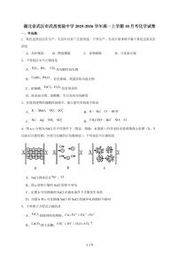 2025-2026学年湖北省武昌实验中学高一上学期（10月）月考化学试卷（含答案）