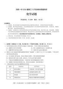 安徽合肥市第一中学2026届高三上学期12月月考化学试卷（PDF版含解析）