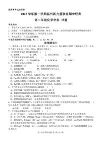 浙江省温州市新力量联盟2025-2026学年高二上学期11月期中化学试卷（含答案）