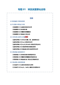 高考化学一轮复习-钠及其重要化合物（知识清单）（全国通用）（解析版）