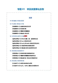 高考化学一轮复习-钠及其重要化合物（知识清单）（全国通用）（解析版）