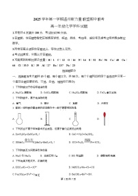 浙江省温州新力量联盟2025-2026学年高一上学期11月期中联考化学试卷（Word版附解析）