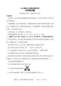 吉林省九校2026届高三上学期11月联合模拟考试 化学试卷（PDF图片版）（含答案)