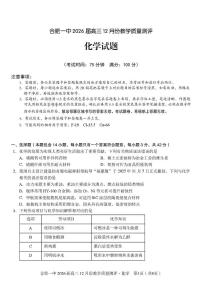 安徽合肥一中2026届高三上学期12月教学质量测评化学试题（含答案）