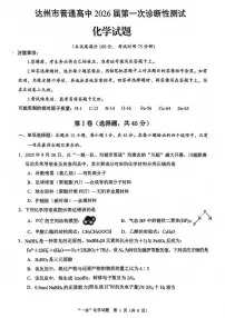 四川省达州市普通高中2026届高三上学期高考一诊化学试题（含答案）