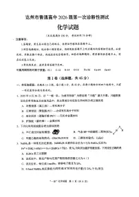 四川省达州市普通高中2026届高三上学期12月第一次诊断性测试化学试题及答案