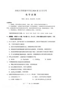 重庆市西南大学附属中学校2025-2026学年高三上学期12月月考化学试题（含答案）含答案解析