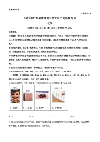 2025年高考广东卷化学高考真题（原卷版＋解析版）