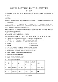 湖北省武汉市部分重点中学2025-2026学年高一上学期期中化学试卷（Word版附解析）