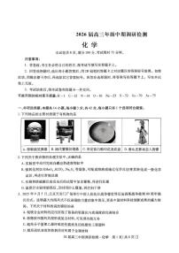 河北省琢名小渔名校联考2026届高三上学期11月期中调研检测化学试题及答案