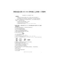陕西省金太阳2025-2026学年高三上学期11月联考（扫描版）化学试卷