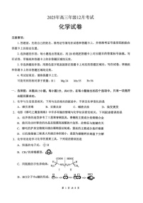 湖北省云学联盟2025-2026学年高三上学期12月月考化学试卷