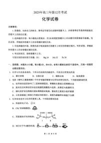 湖北省云学联盟2025-2026学年高三上学期12月月考化学含答案解析