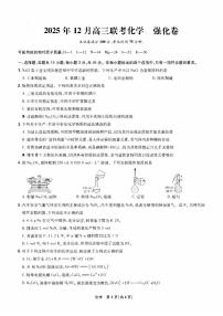 东北精准教学联盟2026届高三上学期12月联考试（强化卷）-化学试题含答案