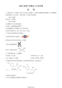 北京市第十中学2025-2026学年高三上学期12月月考化学试题
