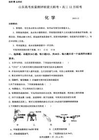 山东省山东高考质量测评联盟大联考·2025-2026学年高三上学期12月联考化学试卷(含答案）