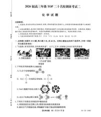 河南省TOP二十名校2026届高三上学期12月调研考试二化学试题（PDF版附解析）
