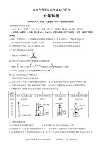 湖北智学联盟2026届高三上学期12月月考化学试卷（含答案）