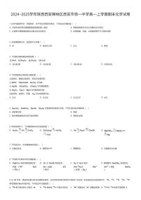 2024~2025学年陕西西安碑林区西安市铁一中学高一上学期期末化学试卷（有答案解析）