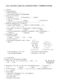 2024~2025学年上海徐汇区上海市南洋中学高二下学期期中化学试卷（有答案解析）